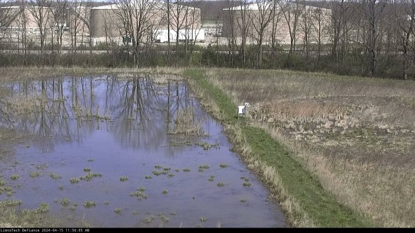 Cell 3 to 4_24-04-15_11-56-06-32