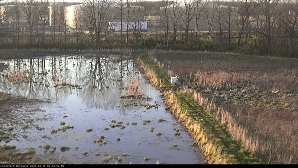 Cell 3 to 4_24-04-15_19-44-53-33