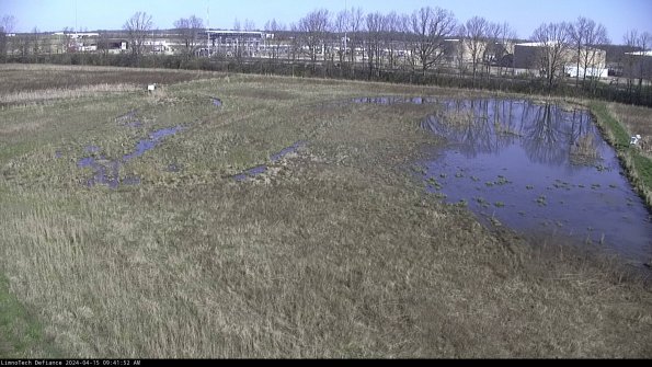 Cell 3_24-04-15_09-41-53-32