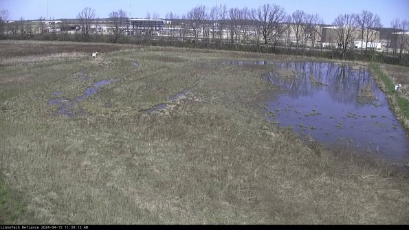 Cell 3_24-04-15_11-39-14-40