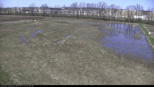 Cell 3_24-04-15_13-02-50-31