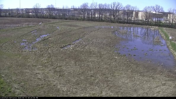 Cell 3_24-04-15_16-23-44-60