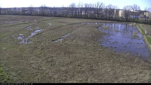 Cell 3_24-04-15_18-04-12-32