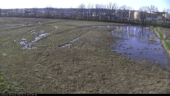 Cell 3_24-04-15_18-37-41-34