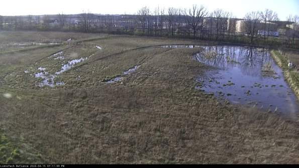 Cell 3_24-04-15_19-11-10-32