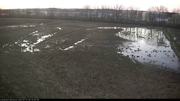 Cell 3_24-04-15_20-18-09-33