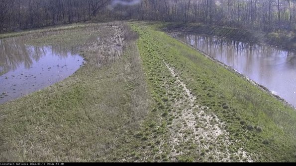 Cell 4 to Basin_24-04-15_09-42-51-32