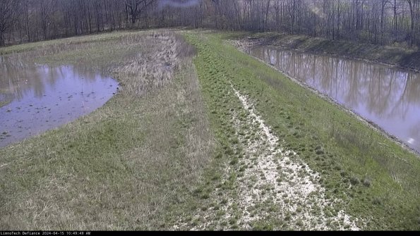 Cell 4 to Basin_24-04-15_10-49-50-32