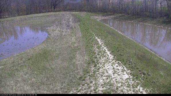 Cell 4 to Basin_24-04-15_11-56-50-37