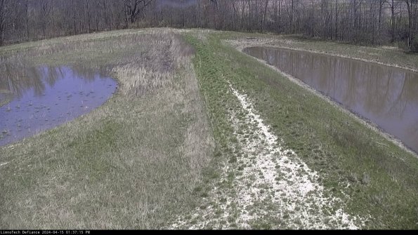 Cell 4 to Basin_24-04-15_13-37-16-32