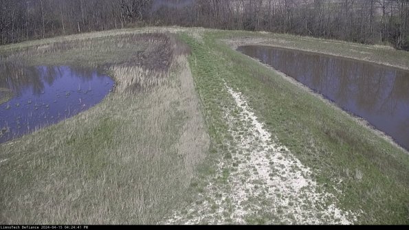 Cell 4 to Basin_24-04-15_16-24-42-29