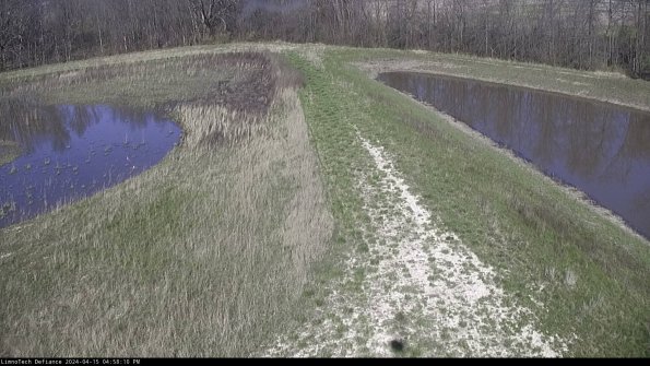 Cell 4 to Basin_24-04-15_16-58-11-34