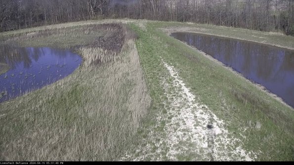 Cell 4 to Basin_24-04-15_17-31-41-33