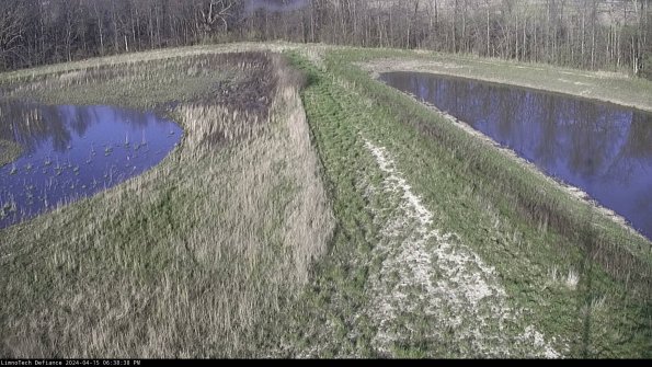 Cell 4 to Basin_24-04-15_18-38-39-36