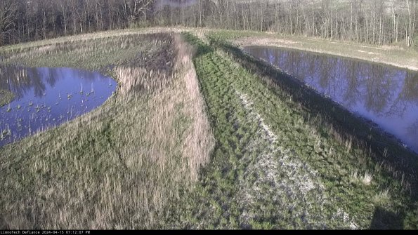 Cell 4 to Basin_24-04-15_19-12-08-35