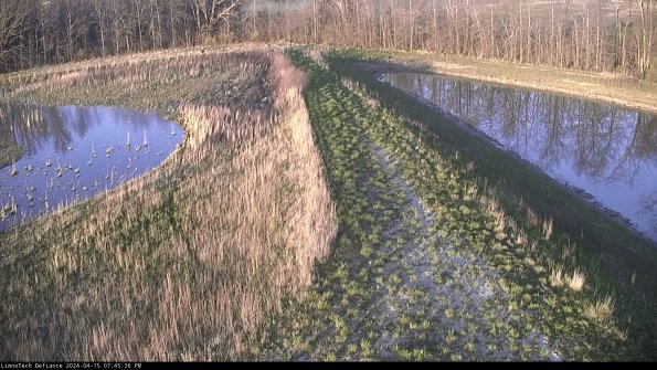 Cell 4 to Basin_24-04-15_19-45-37-34