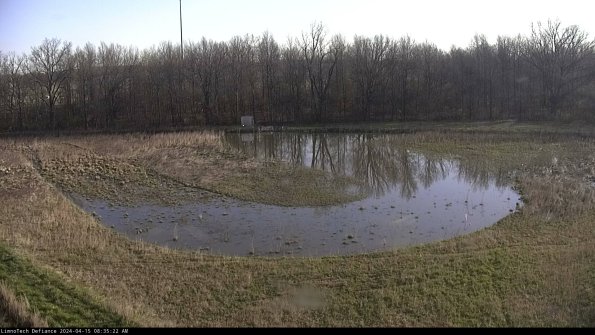 Cell 4_24-04-15_08-35-23-32