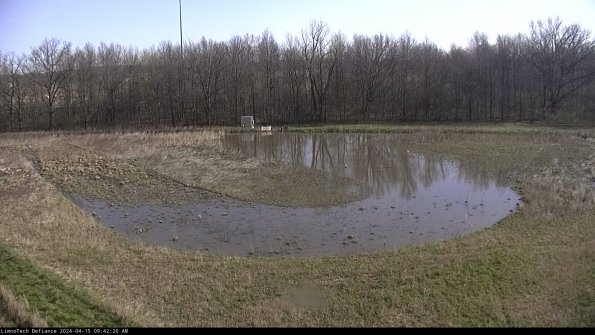 Cell 4_24-04-15_09-42-21-32