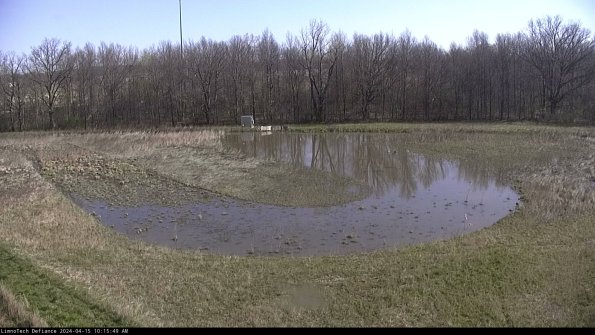 Cell 4_24-04-15_10-15-50-30