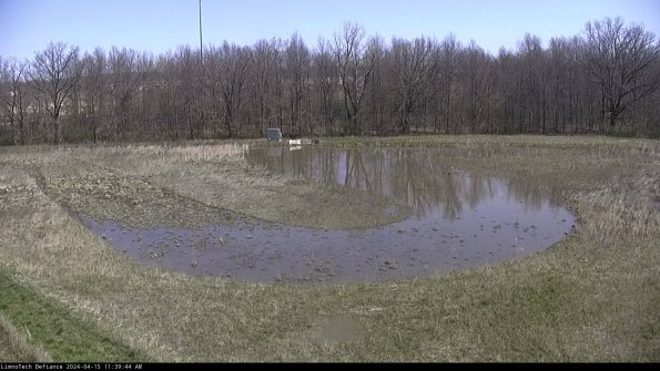 Cell 4_24-04-15_11-39-44-60