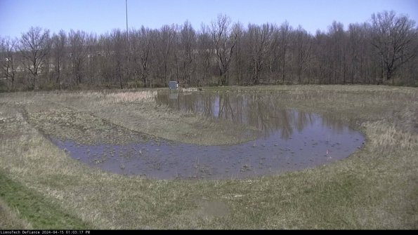 Cell 4_24-04-15_13-03-18-34