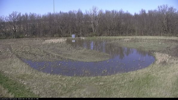 Cell 4_24-04-15_16-24-12-29