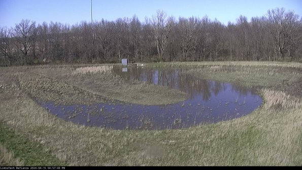 Cell 4_24-04-15_16-57-41-31