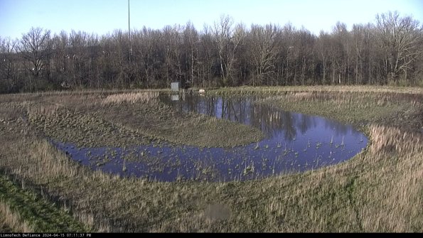 Cell 4_24-04-15_19-11-38-32