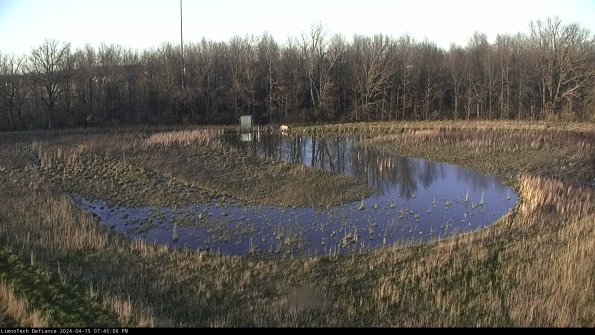 Cell 4_24-04-15_19-45-07-31