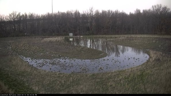 Cell 4_24-04-15_20-18-37-33