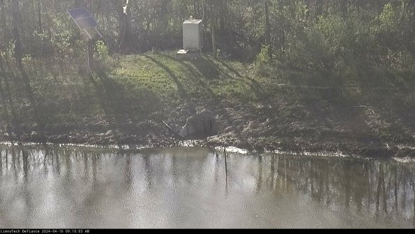 Basin Inflow_24-04-16_09-10-03-53