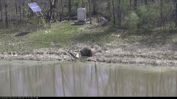 Basin Inflow_24-04-16_13-04-30-54