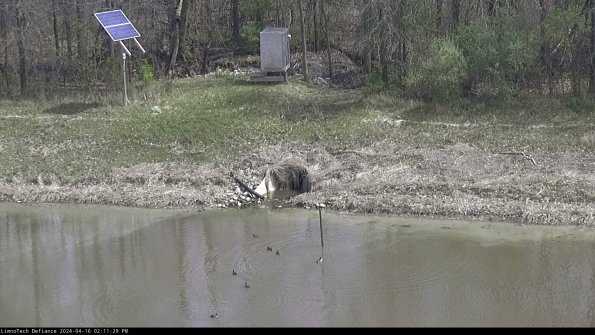 Basin Inflow_24-04-16_14-11-29-52