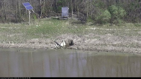 Basin Inflow_24-04-16_16-25-24-43