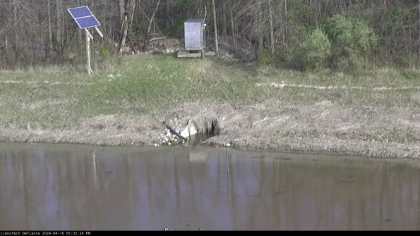 Basin Inflow_24-04-16_17-32-24-53