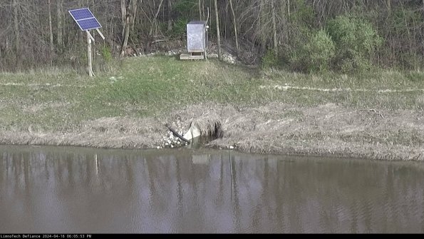 Basin Inflow_24-04-16_18-05-53-48