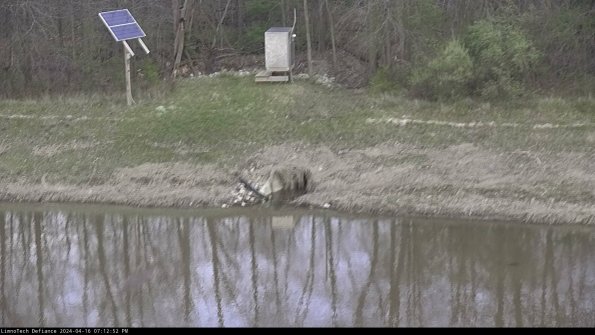 Basin Inflow_24-04-16_19-12-52-45