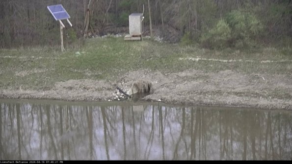 Basin Inflow_24-04-16_19-46-22-30