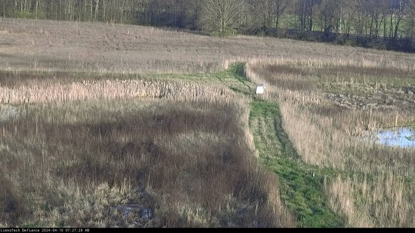 Cell 1 to 2_24-04-16_07-27-29-32