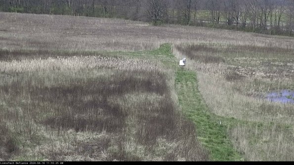 Cell 1 to 2_24-04-16_11-55-26-34