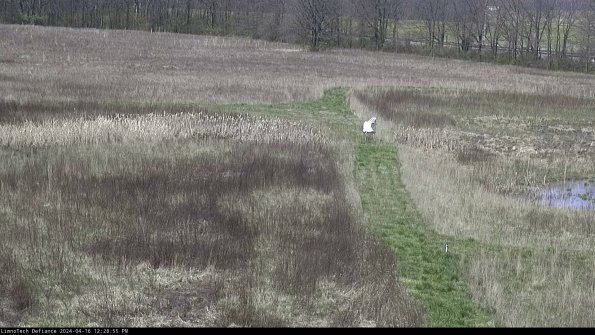 Cell 1 to 2_24-04-16_12-28-56-32