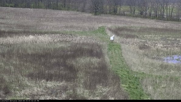 Cell 1 to 2_24-04-16_13-02-26-31