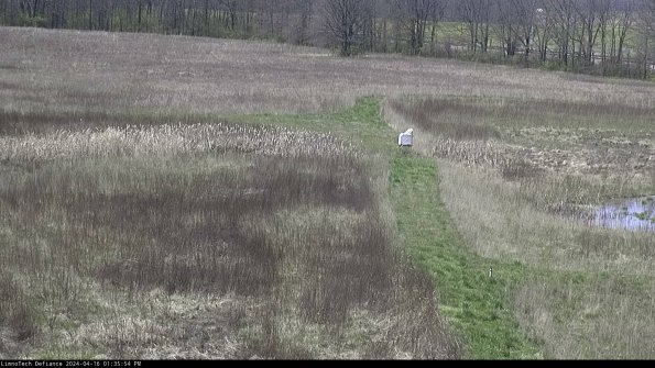 Cell 1 to 2_24-04-16_13-35-55-33