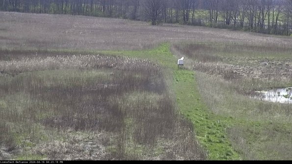 Cell 1 to 2_24-04-16_16-23-20-34