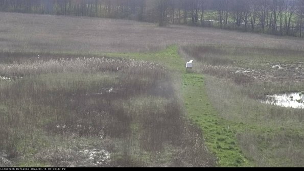 Cell 1 to 2_24-04-16_18-03-48-32