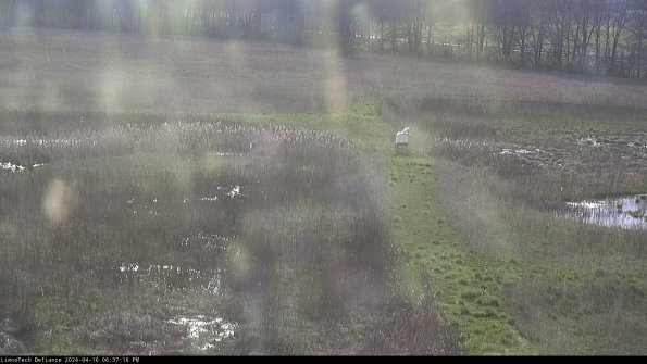 Cell 1 to 2_24-04-16_18-37-17-34