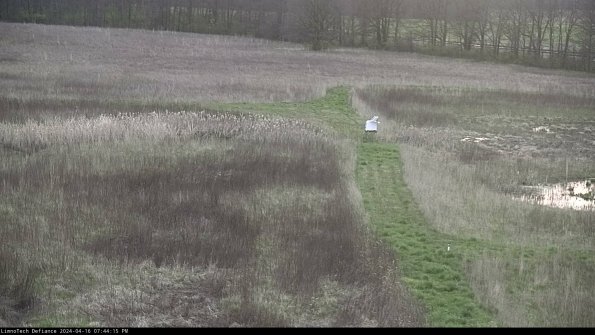 Cell 1 to 2_24-04-16_19-44-16-34