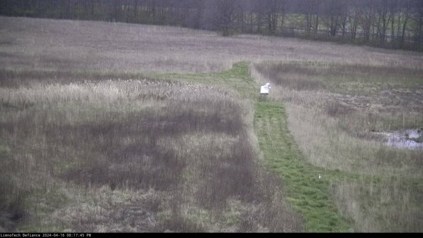 Cell 1 to 2_24-04-16_20-17-46-34