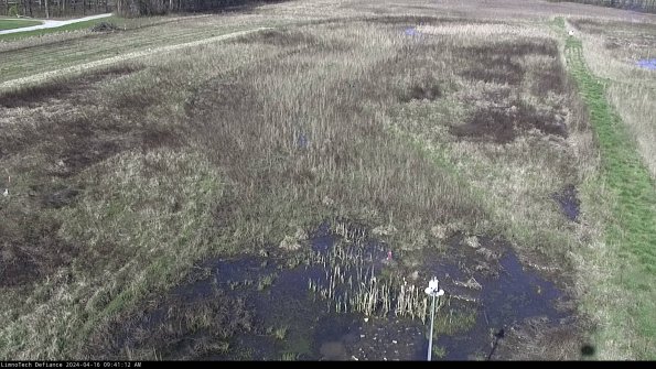 Cell 1_24-04-16_09-41-13-34