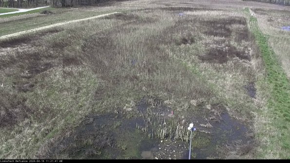 Cell 1_24-04-16_11-21-42-30